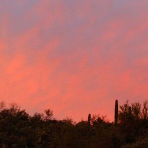 Meet your Posher, Dakota